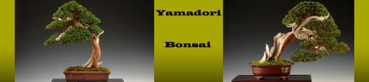 Yamadori.com