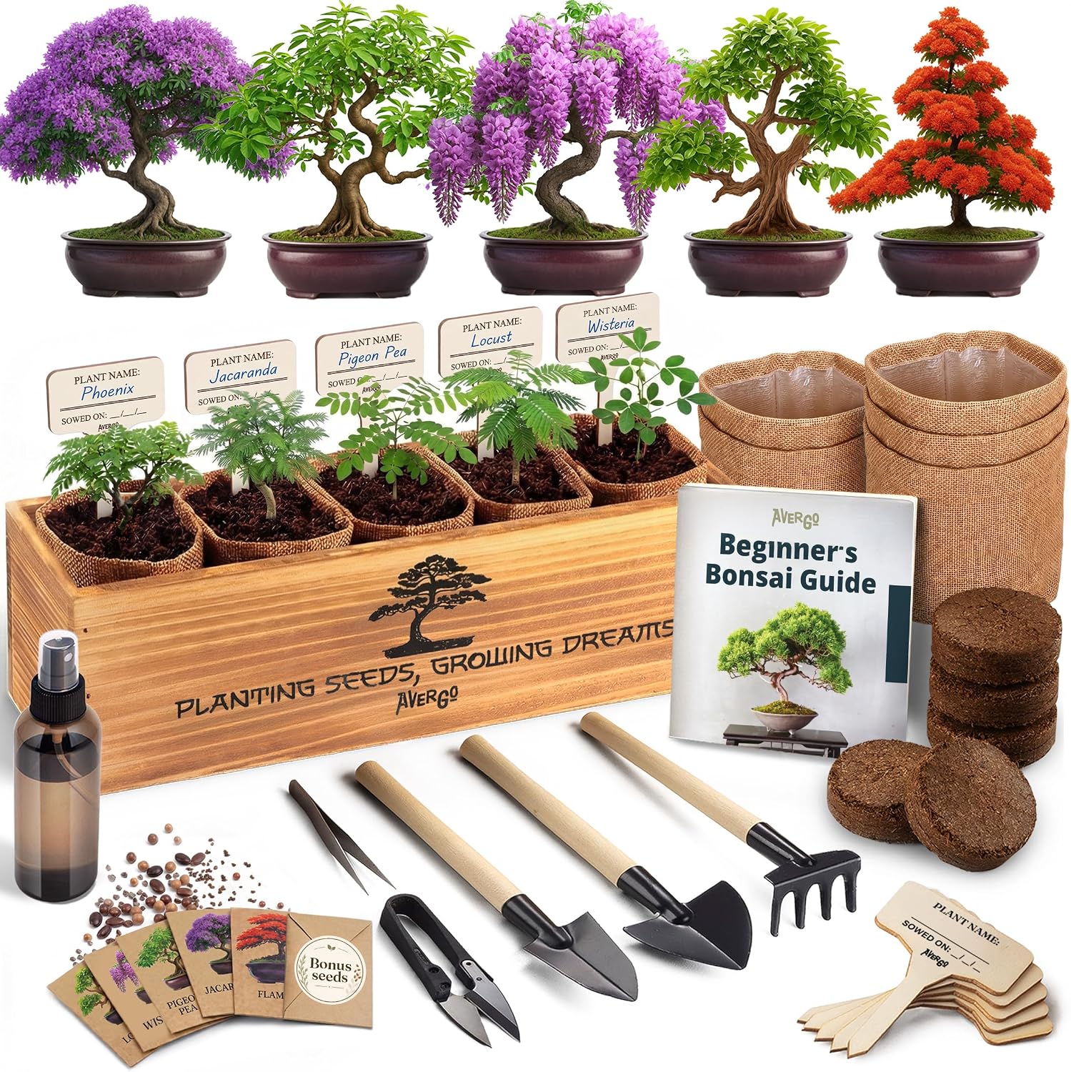 AVERGO bonsai tree kit classic box
