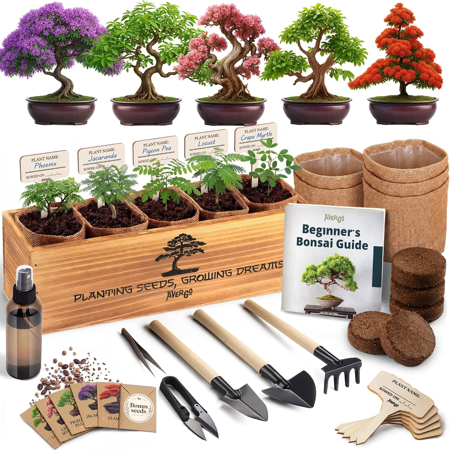 AVERGO bonsai tree kit deluxe box